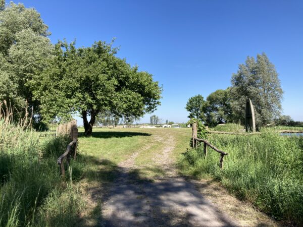 Camping mit Wohnwagen oder Zelt